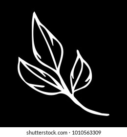 Branch with leaves vector illustration. Doodle style. Design, print, logo, decor, textile, paper.