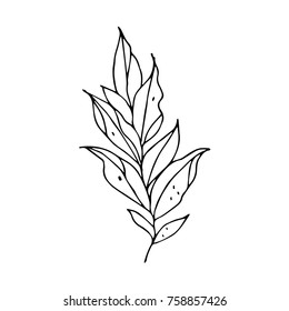 Branch with leaves vector illustration. Doodle style. Design, print, logo, decor, textile, paper