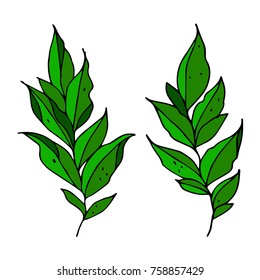 Branch with leaves vector illustration. Doodle style. Design, print, logo, decor, textile, paper