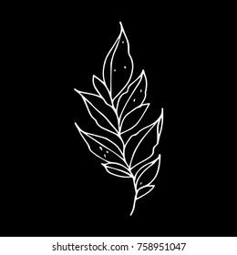 Branch with leaves vector illustration. Doodle style. Design, print, logo, decor, textile, paper