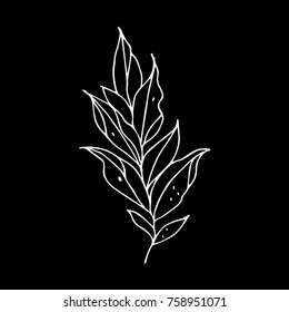 Branch with leaves vector illustration. Doodle style. Design, print, logo, decor, textile, paper