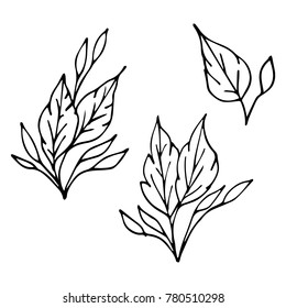 Branch with leaves vector illustration. Doodle style. Design, print, decor, textile, paper