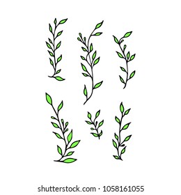 Branch with leaves vector illustration. Ink drawn herbal in sketch style for print, card, wrapping, textile and other vintage design.