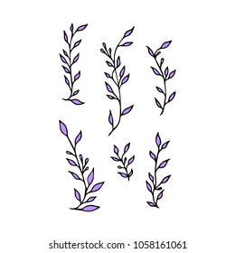 Branch with leaves vector illustration. Ink drawn herbal in sketch style for print, card, wrapping, textile and other vintage design.