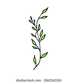 Branch with leaves vector illustration. Ink drawn herbal in sketch style for print, card, wrapping, textile and other vintage design.