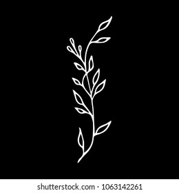 Branch with leaves vector illustration. Ink drawn herbal in sketch style for print, card, wrapping, textile and other vintage design.