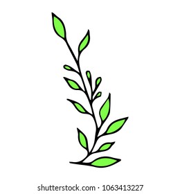 Branch with leaves vector illustration. Ink drawn herbal in sketch style for print, card, wrapping, textile and other vintage design.