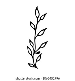 Branch with leaves vector illustration. Ink drawn herbal in sketch style for print, card, wrapping, textile and other vintage design.