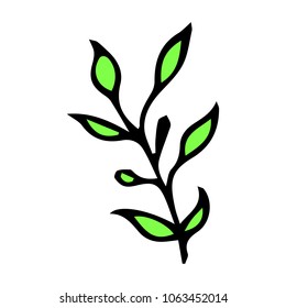 Branch with leaves vector illustration. Ink drawn herbal in sketch style for print, card, wrapping, textile and other vintage design.
