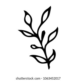 Branch with leaves vector illustration. Ink drawn herbal in sketch style for print, card, wrapping, textile and other vintage design.
