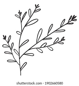 Branch with Leaves Vector line art