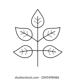 Verzweigung mit Blättern, Vektorsymbol einzeln auf weißem Hintergrund. Junge Frühlingszweig mit Blättersymbol für Infografik, Website oder App.