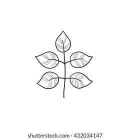 Sucursal con hojas icono de esbozo vectorial aislado en el fondo. Rama dibujada a mano con icono de hojas. Sucursal con hojas icono de esbozo para infografía, sitio web o aplicación.