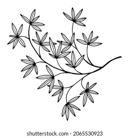 Branch with leaves. Vector stock illustration eps10. Isolate on white background, outline, hand drawing.