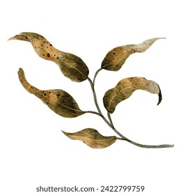 Branch with  leaves watercolor painting,illustration