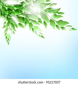 Branch with leaves.Summer vector background