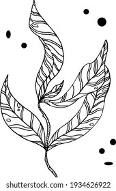 branch with leaves.Vector hand drawing branches with leaves and stripes