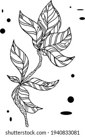 branch with leaves.Vector hand drawing branches with leaves and stripes
