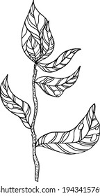 branch with leaves.Vector hand drawing branches with leaves and stripes