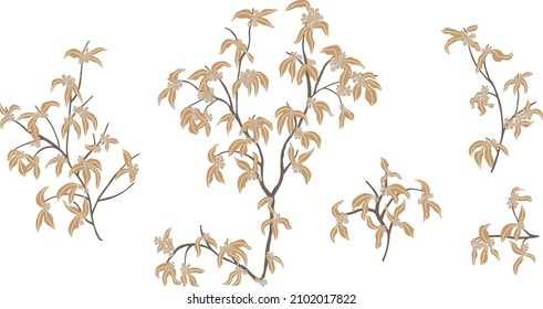 branch with leaves.Vector hand drawing set branches with leaves and stripes