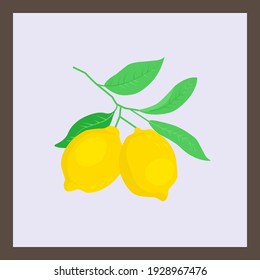 Ein Ast mit Zitronenfrüchten.  Abstrakte Elemente, Blätter und Früchte, Äste. Poster der modernen Kunst in Pastellfarben. Hervorragendes Design für soziale Netzwerke, Postkarten, Drucken.
