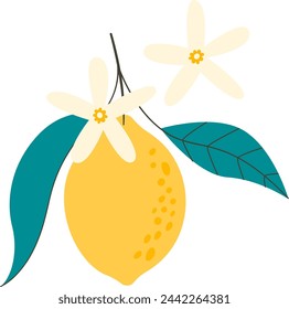 Branch With Lemon And Leaves Vector Illustration