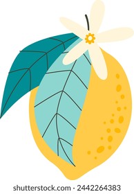 Branch With Lemon And Leaves Vector Illustration