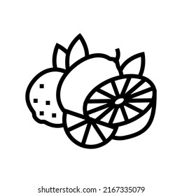 branch lemon and lime line icon vector. branch lemon and lime sign. isolated contour symbol black illustration