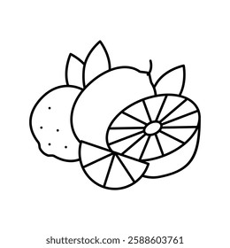 branch lemon and lime line icon vector. branch lemon and lime sign. isolated contour symbol black illustration