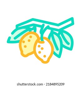 branch lemon plant color icon vector. branch lemon plant sign. isolated symbol illustration