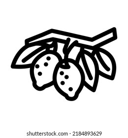 branch lemon plant line icon vector. branch lemon plant sign. isolated contour symbol black illustration