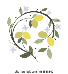 Branch of lemon tree with flowers and leaves. Vector Illustration