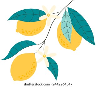 Zweig mit Zitronen und Blättern Vektor-Illustration