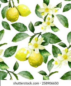 The branch with lemons on a white background 