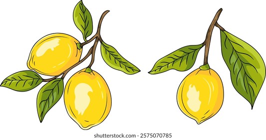 Branch with lemons. Vector clipart, illustration with isolated background.