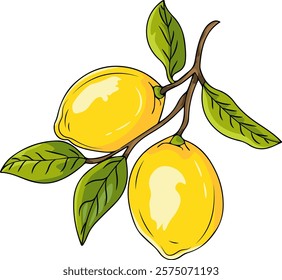 Branch with lemons. Vector clipart, illustration with isolated background.