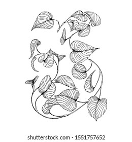 branch of liana Isolated on a white background.Hand drawn.