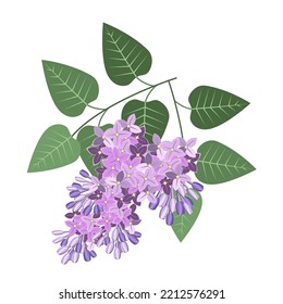 A branch of a lilac bush isolated on a white background.Vector flower illustration for postcards,textiles.