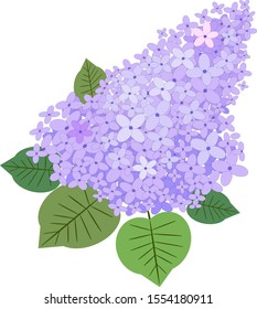 A branch of lilac. Find five gates. Vector graphics.