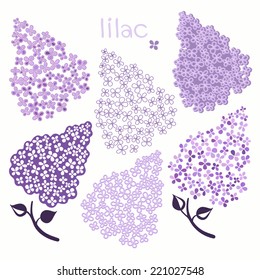 Branch of lilac isolated on a white background. Set of lilac blossoms, six variants. Vector illustration, design elements.