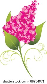 Branch of lilac isolated on the white. Vector