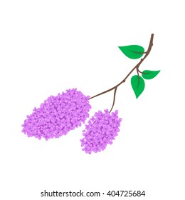 branch of lilac - isolated spring vector illustration