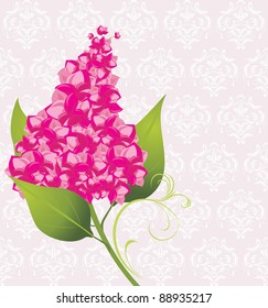 Branch of lilac on the decorative background. Vector