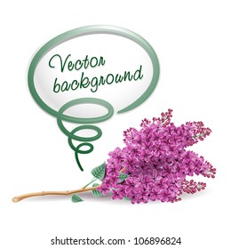 Branch of lilac pink flowers on a white background and a bubble with the text