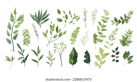 A Branch, Limb, Leaf, Leaves, of Grenn Tropical Tree (Fern, Eucalyptas, Herbs and Others Foliage) in Set of Watercolor Vector Style