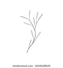 branch line art illustration for decoration