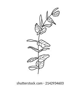 Branch line drawn on white background, doodle, vector illustration