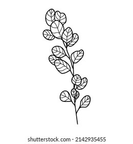 Branch line drawn on white background, doodle, vector illustration