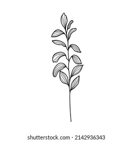 Branch line drawn on white background, doodle, vector illustration