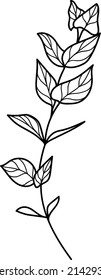 Branch line drawn on white background, doodle, vector illustration